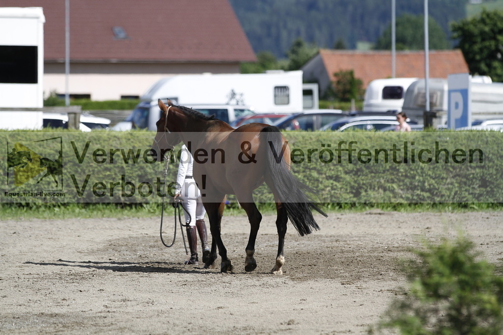 _MG_4518 | equestrian-live-com