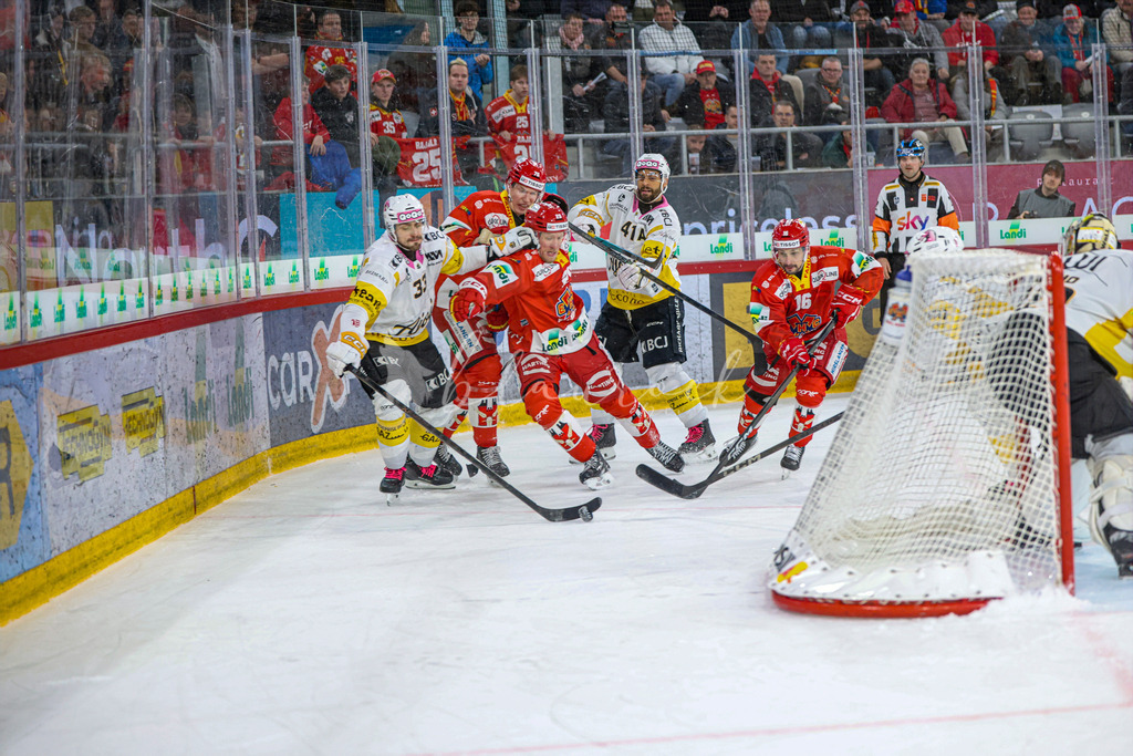EHCB vs HCA 20260127_wb-9705 | Sportbilder, Sportfotograf, Hochzeits- und Eventfotografin, Flugshows, Portraits und Tiershooting, Aviation, Downhill, Nationalleague, Swissleague, International
