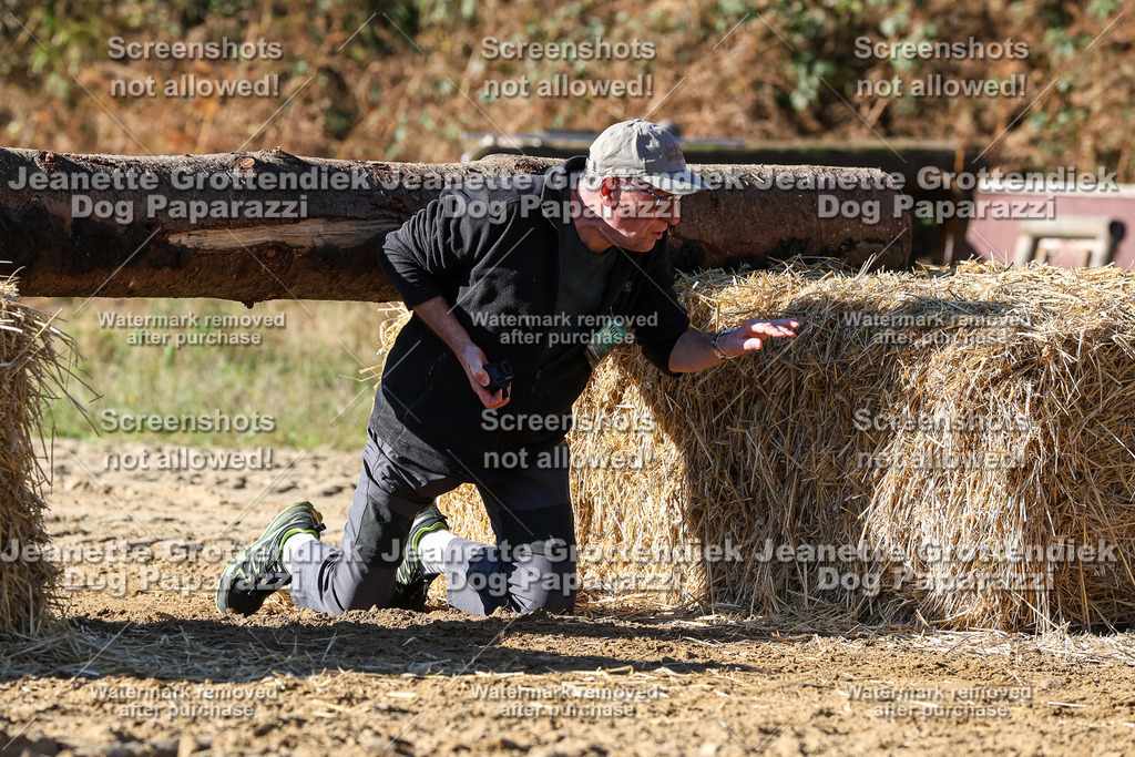 Dog Paparazzi - Strongdog 10-25-2849 | Dog Paparazzi Jeanette Grottendiek Fotografie & Videografie - Realisiert mit Pictrs.com