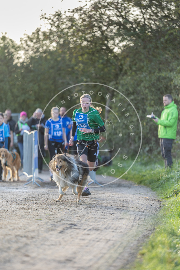 Pfotenfotografie.de_DV3A2486 | Hundefotografie, Tierfotograf, Pfotenfotografie, Fotoshooting Hund, Hunde Portrait, Hundesport, Hundeportraits, Heideshooting, Hunde, Sportfotograf, Hundefotograf, Turnierhundsport, THS, canicross - Realisiert mit Pictrs.com