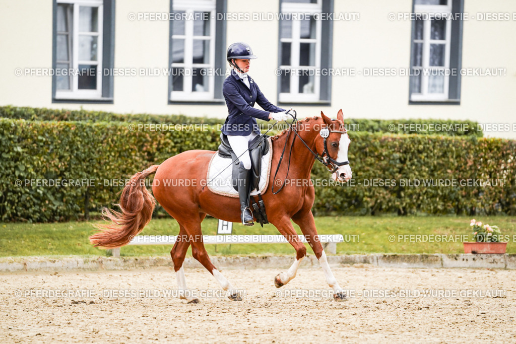 DSC08879 | Pferdegrafie