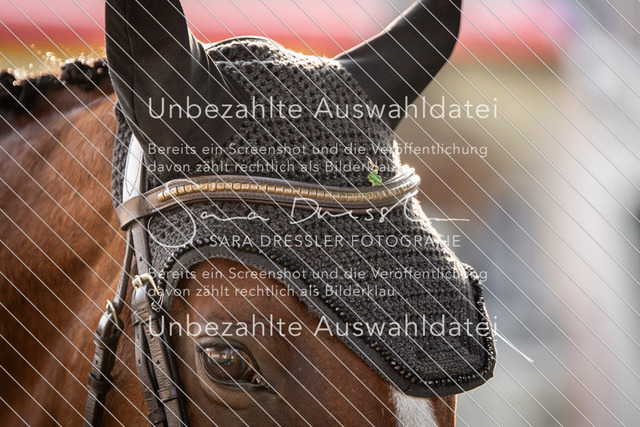 SD_Verl_04999 | saradresslerfotografie - Realisiert mit Pictrs.com