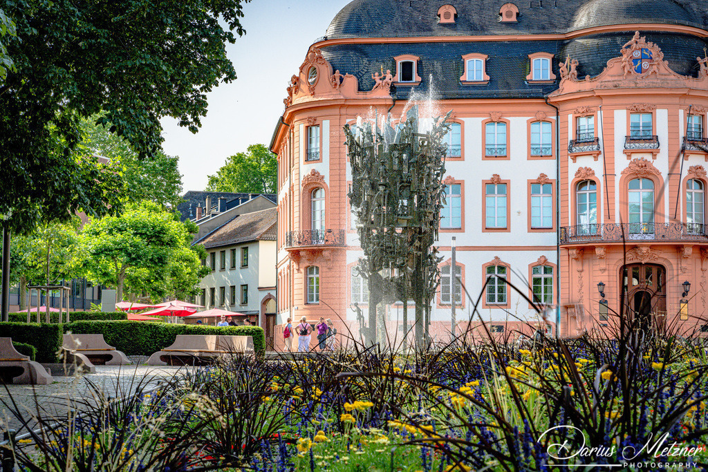 Der Mainzer Schillerplatz | Der Osteiner Hof (1747 und 1752), der Fastnachtsbrunnen davor und das Blumenbeet am Schillerplatz. 
