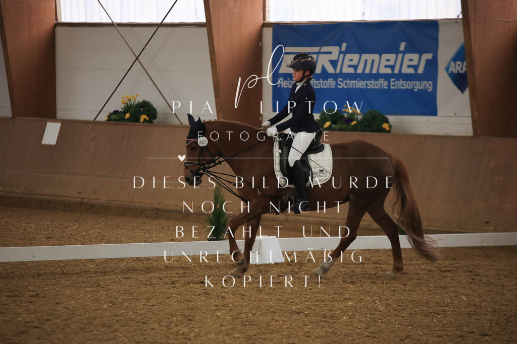 IMGT0582 | pl-fotografie