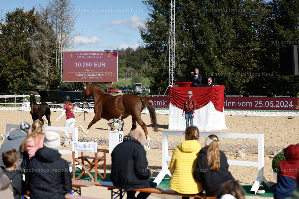 _AM19093 | working equitationturnier fotograf videograf stoibphotography marixx film working equitation deutschland reitsport turnierfotografie eventfotografie equestrian events