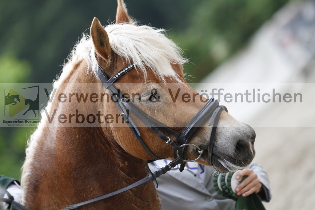 _MG_6793 | equestrian-live-com