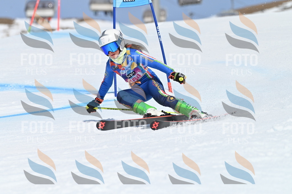 BGV_0131 | holidayphoto