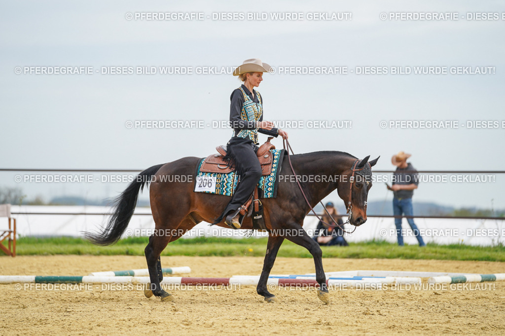 DSC03172 | Pferdegrafie