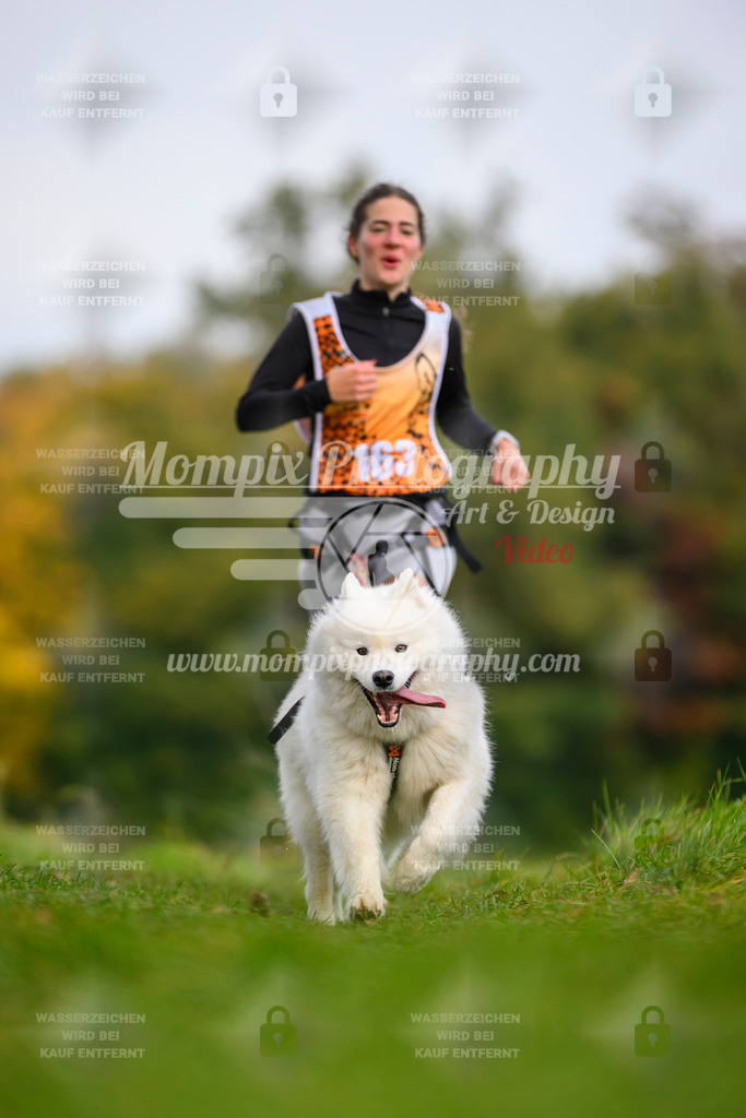 MompixPhotography_CDLBDB2025_DI_CC-152 | PayLife