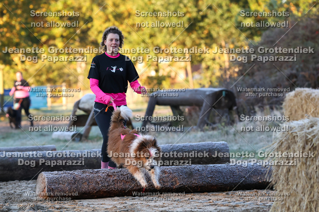 Dog Paparazzi - Strongdog 10-25-397 | Dog Paparazzi Jeanette Grottendiek Fotografie & Videografie - Realisiert mit Pictrs.com