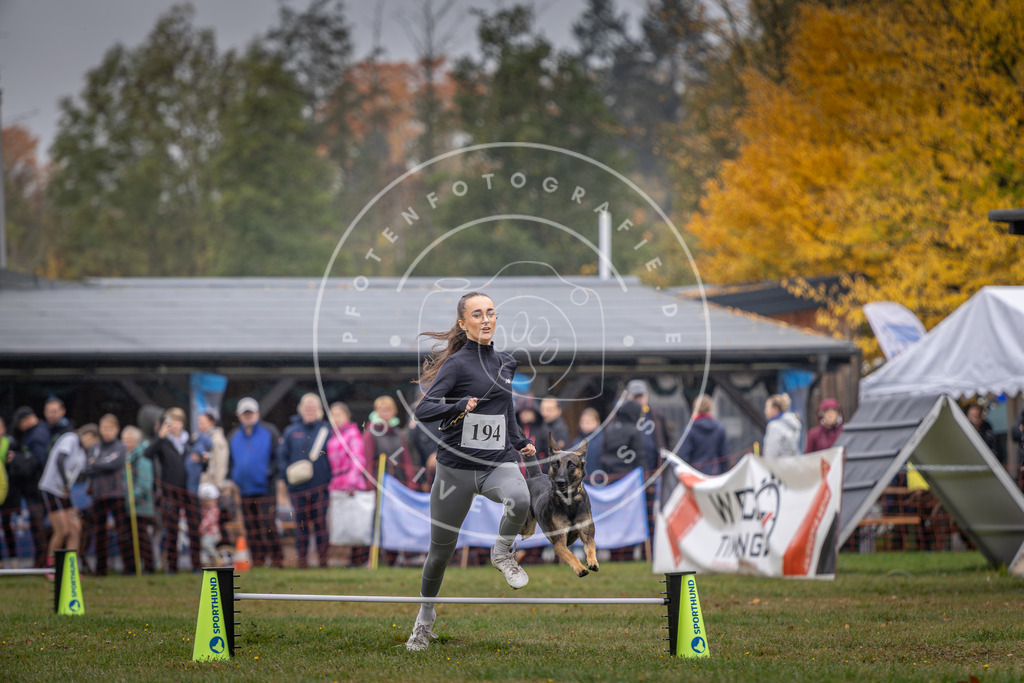 Pfotenfotografie_DV3A0670 | Hundefotografie, Tierfotograf, Pfotenfotografie, Fotoshooting Hund, Hunde Portrait, Hundesport, Hundeportraits, Heideshooting, Hunde, Sportfotograf, Hundefotograf, Turnierhundsport, THS,  - Realisiert mit Pictrs.com