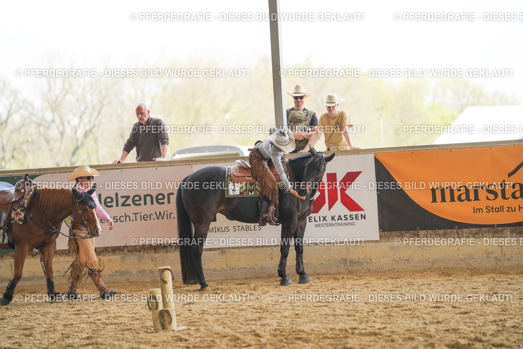 DSC02219 | Pferdegrafie