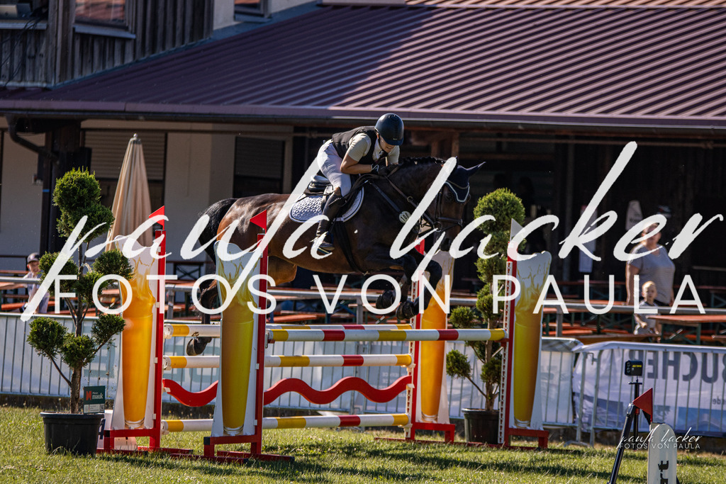 IMG_0110 | Erleben Sie dynamische Sport- und emotionale Tierfotografie in Süddeutschland mit Fotos von Paula. Spezialisiert auf Pferde- und Hundefotografie sowie Sportevents. Kontaktieren Sie mich für einzigartige und ausdrucksstarke Bilder Ihrer besonderen Momente. - Realisiert mit Pictrs.com