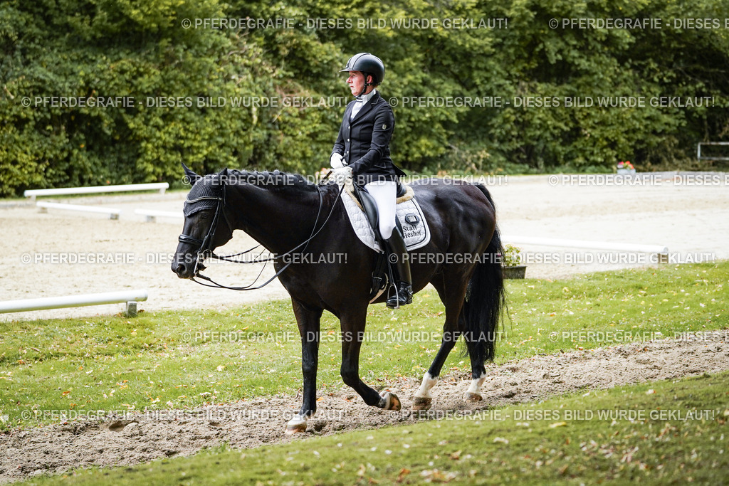 DSC02231 | Pferdegrafie