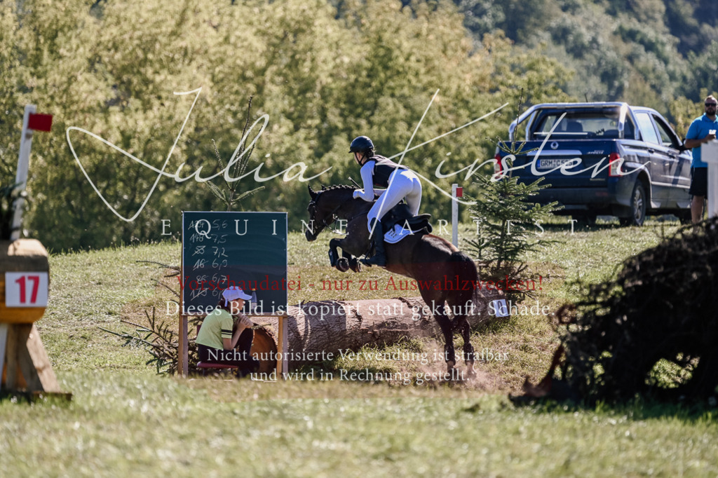 DSC_2959 | Pferde- und Turnierfotografie in Westsachsen. Pferdeportraits, Auftragszeichnungen und intuitive Kunst.