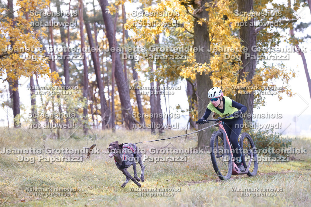 Dog Paparazzi - Elsholz 25 -180 | Dog Paparazzi Jeanette Grottendiek Fotografie & Videografie - Realisiert mit Pictrs.com