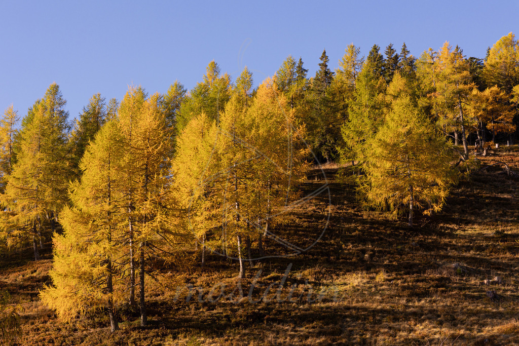 Millstätter Alpe | Ihre Fotografin im Lungau, ihre Fotografin im Mostviertel, Wandbilder Onlineshop, Imagefotos für Ihr Unternehmen,  - Realisiert mit Pictrs.com