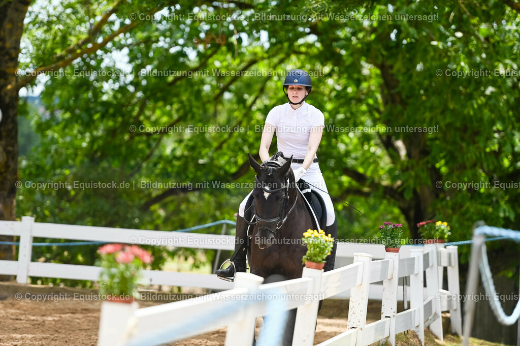20230715_05_Dressurprüfung Kl.A++_0286 | equistock