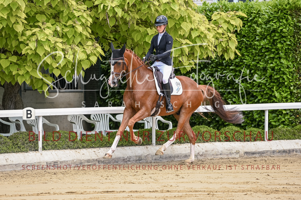 Schugtsche-Aluta25-48.Reitpferfdeprf.-154 | Schugtsche Fotografie - Realisiert mit Pictrs.com