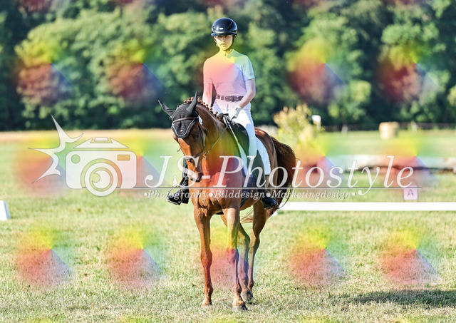 20260628_14a_VA_Dressur-66 | JS-Photostyle - Sport-/Portrait- & Eventfotografie