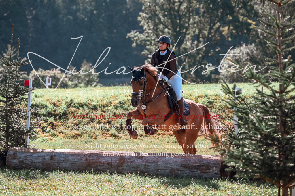 DSC_0780 | Pferde- und Turnierfotografie in Westsachsen. Pferdeportraits, Auftragszeichnungen und intuitive Kunst.