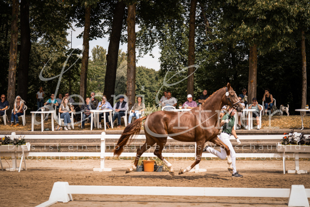 3.Fr00069 | Leoni Ertmer Photography - Realisiert mit Pictrs.com