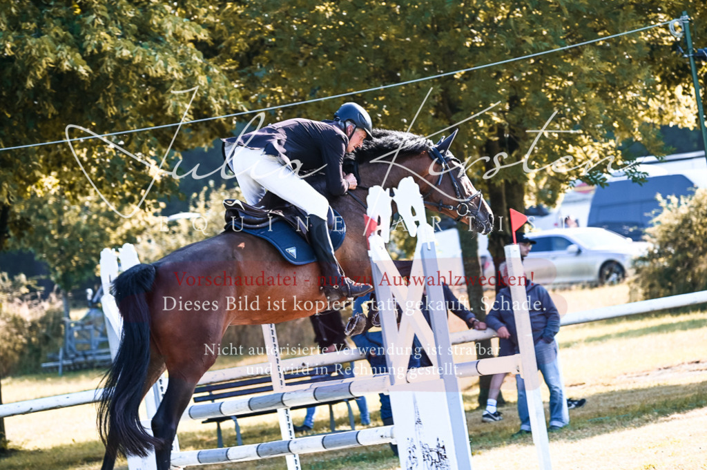 DSC_7468 | Pferde- und Turnierfotografie in Westsachsen. Pferdeportraits, Auftragszeichnungen und intuitive Kunst.