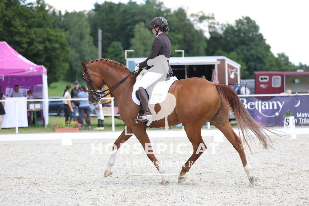 0P6A1480 | Willkommen bei Brunnmayr - Design & Fotografie – Ihrem Spezialisten für Reitturniere und Pferdeveranstaltungen in Oberösterreich, Salzburg und Bayern! Seit über 17 Jahren sind wir leidenschaftlich dabei.