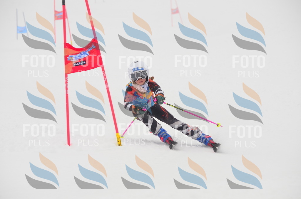 C1186 | holidayphoto