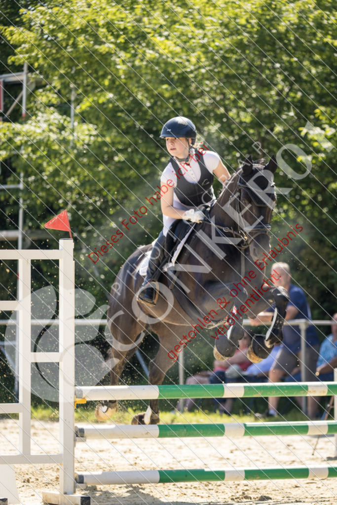 IMG_3408 | Sport-, Event- und Tierfotos in Profiqualität. Einfach auswählen, bestellen und herunterladen. Dein Moment – perfekt festgehalten.