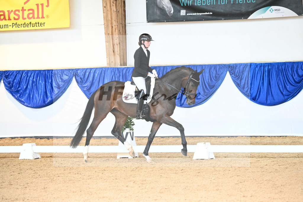 Kat-Nr. 76 First Lady_Jamieson_14240109 | hf-fotografie - Realisiert mit Pictrs.com