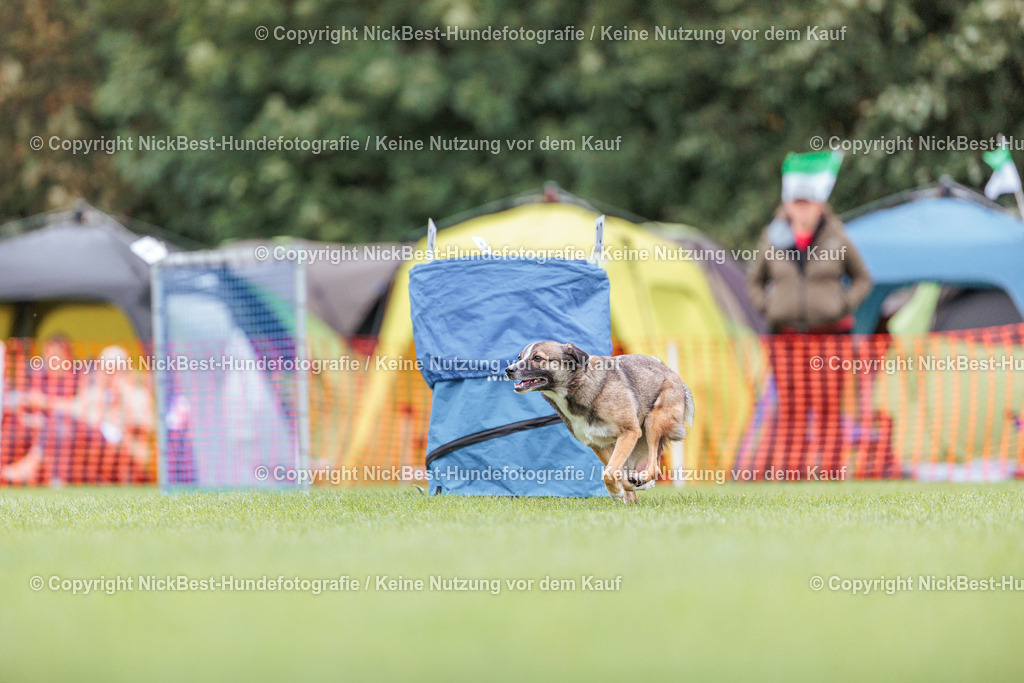 BSP Hoopers-H1 Tag2-2026-Nickbest-Hundefotografie-TuS Komet Arsten e.V.-2602 | Dein Hund! Dein Moment! Deine Erinnerungen! Hundefotografie in Bremen Blumenthal. Ich fange die besonderen Momente deines Vierbeiners ein – ob Indoor mit Blitzanlage oder in der freien Natur. Sicher dir dein Moment und dein Termin für eure Erinnerungen.