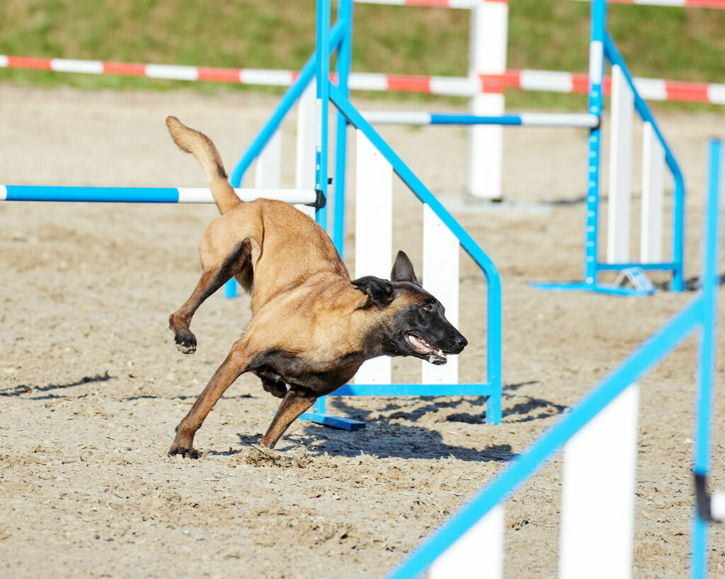 580A0139 | Peter Fridle Fotografie - Realisiert mit Pictrs.com