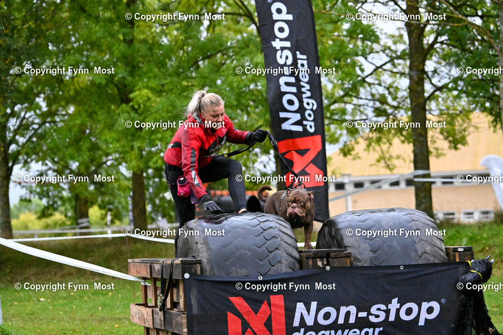 DSC_2499 | Hallo und herzlich Willkommen auf meiner Shop-Seite Fynn Most.

Ich wünsche Dir viel Spaß beim stöbern durch die Bilder, wenn Du Fragen hast oder Bilder vermisst, kannst du mir gerne eine Nachricht schreiben. - Realisiert mit Pictrs.com