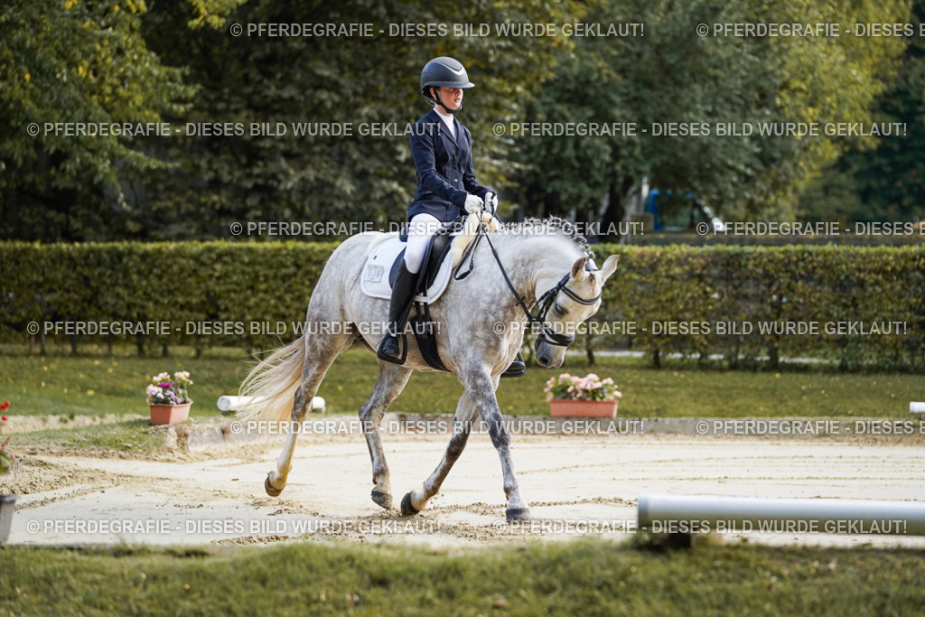 DSC05296 | Pferdegrafie