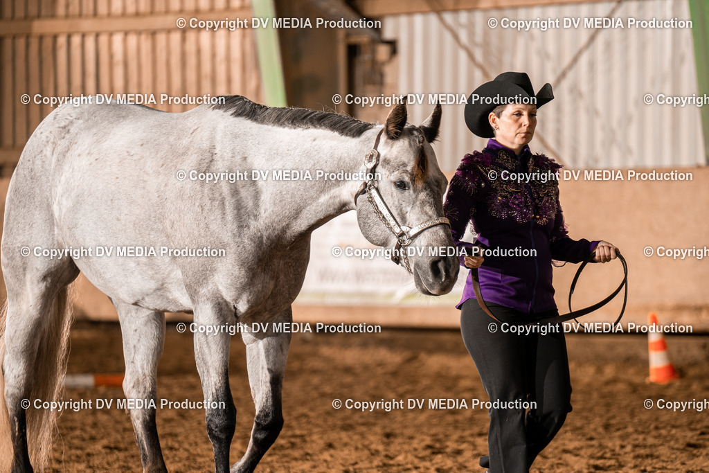 BAL01334 | dv-media-shop - Realisiert mit Pictrs.com