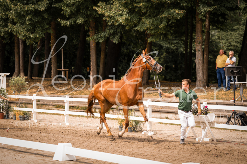 4.Fr00163 | Leoni Ertmer Photography - Realisiert mit Pictrs.com