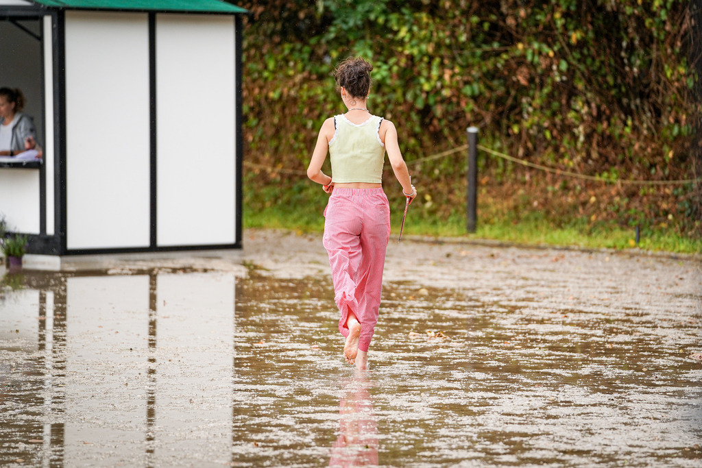 DSC08697 | Pferdegrafie