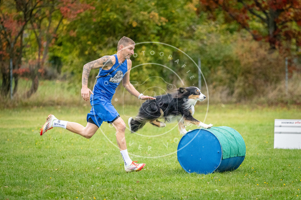 Pfotenfotografie_DV3A0868 | Hundefotografie, Tierfotograf, Pfotenfotografie, Fotoshooting Hund, Hunde Portrait, Hundesport, Hundeportraits, Heideshooting, Hunde, Sportfotograf, Hundefotograf, Turnierhundsport, THS,  - Realisiert mit Pictrs.com