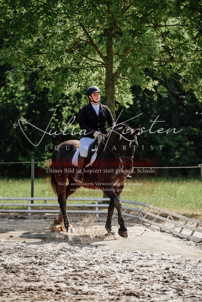 DSC_0159 | Pferde- und Turnierfotografie in Westsachsen. Pferdeportraits, Auftragszeichnungen und intuitive Kunst.