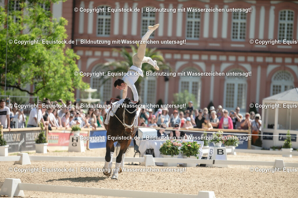 20230528_Voltigieren_NASPA_0166 | equistock