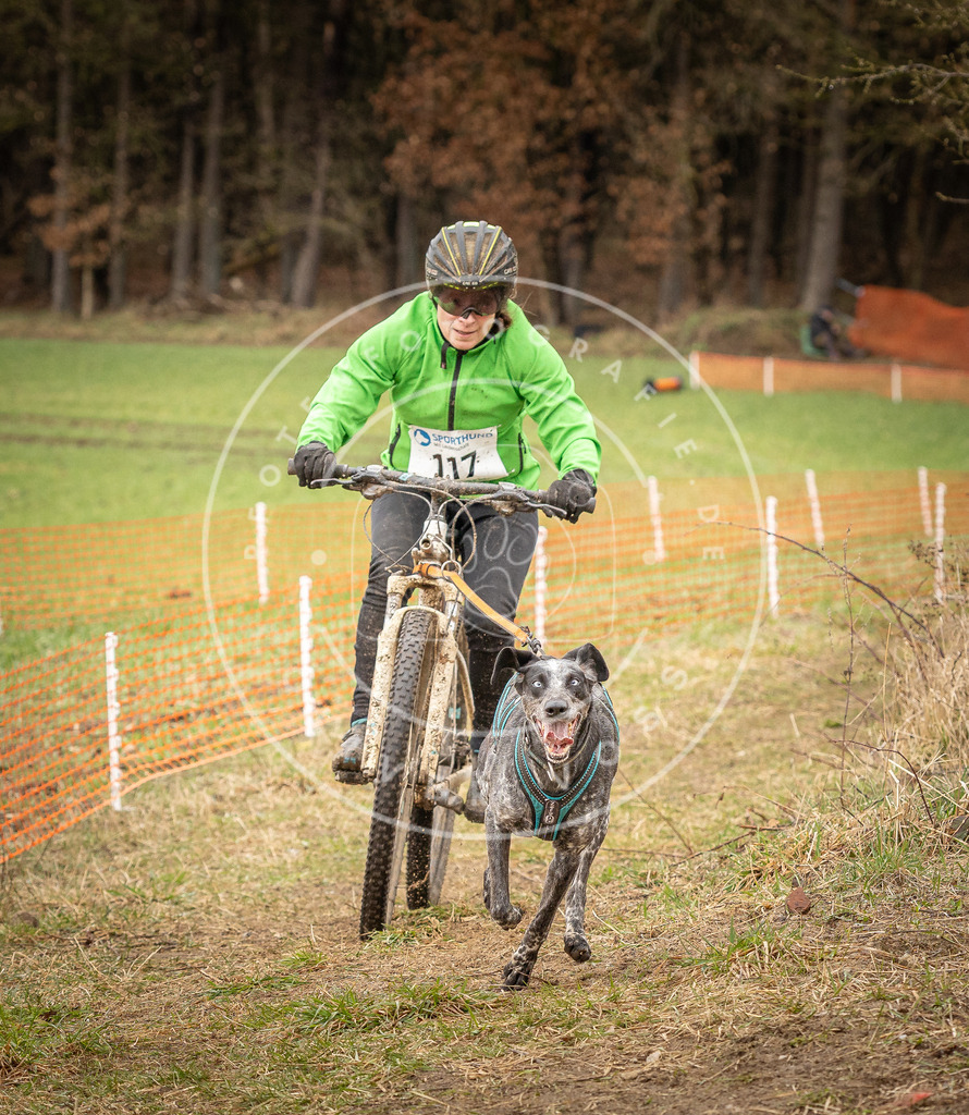 DV3A0970 | Hundefotografie, Tierfotograf, Pfotenfotografie, Fotoshooting Hund, Hunde Portrait, Hundesport, Hundeportraits, Heideshooting, Hunde, Sportfotograf, Hundefotograf, Turnierhundsport, THS,  - Realisiert mit Pictrs.com