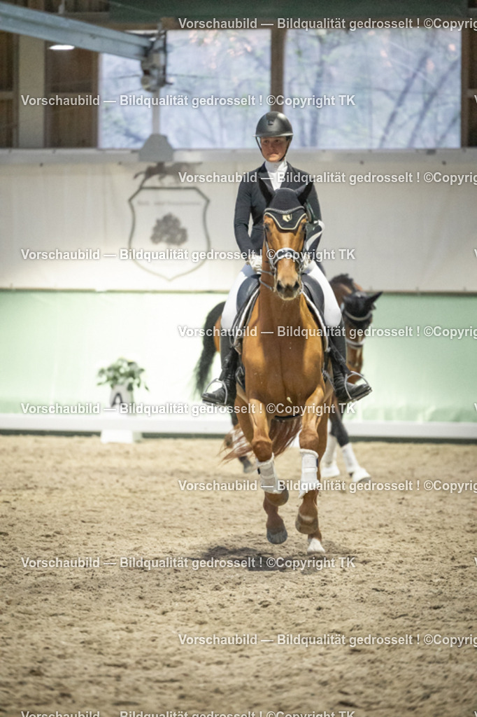 _D5A3829 | Emotionale Pferde- & People-Fotografie rund um Heidelberg, Leimen & Umgebung. Natürliche Fotos von Pferd, Mensch & Familie. Jetzt Termin sichern!