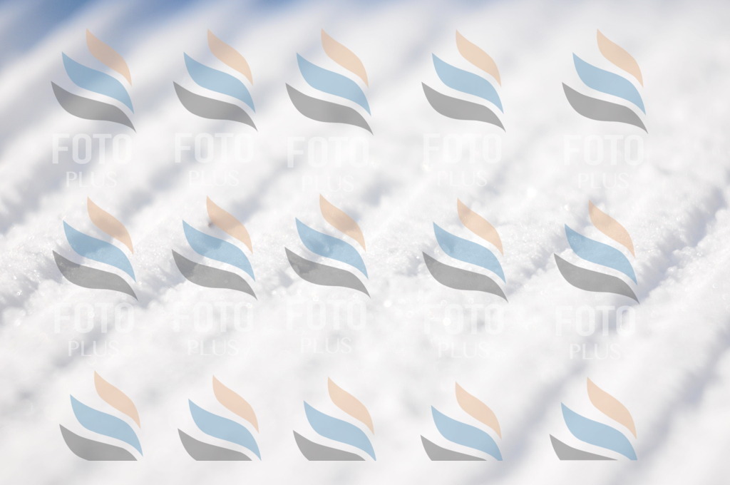 C2053 | holidayphoto