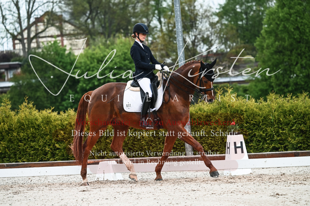 DSC_4238 | Pferde- und Turnierfotografie in Westsachsen. Pferdeportraits, Auftragszeichnungen und intuitive Kunst.