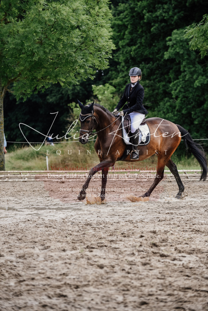 DSC_0781 | Pferde- und Turnierfotografie in Westsachsen. Pferdeportraits, Auftragszeichnungen und intuitive Kunst.
