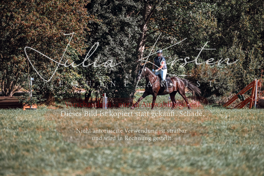 DSC_0594 | Pferde- und Turnierfotografie in Westsachsen. Pferdeportraits, Auftragszeichnungen und intuitive Kunst.