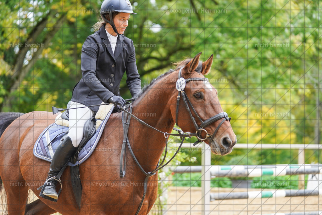 20221009-FAH08831 | Diessen am Ammersee, 2022, Dressur- und Springturnier, Reitsportbilder, Turnierfotografen Bayern, Pferdefotografen, Fotoagentur Herrmann, Turnierbilder