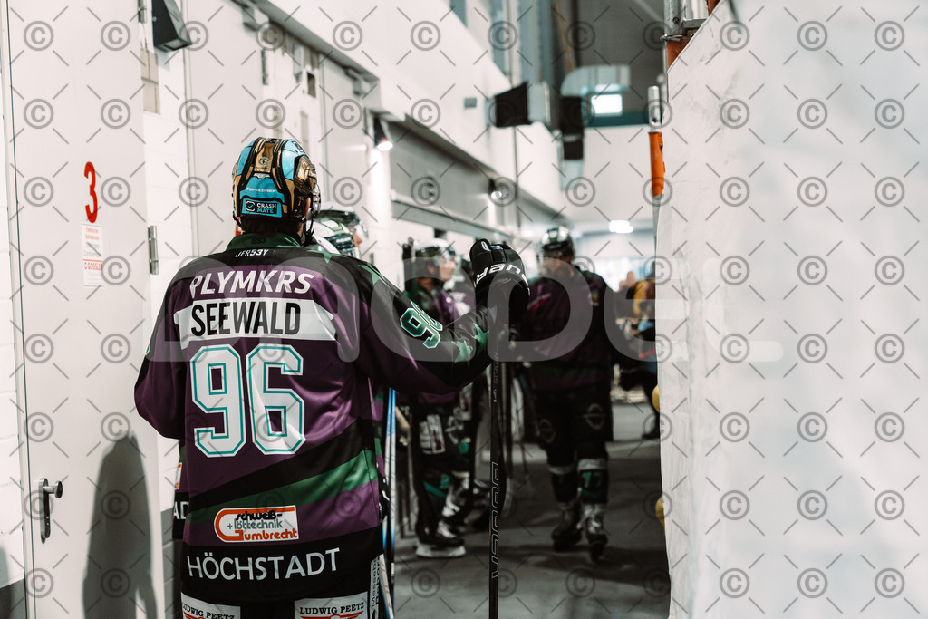 Alligators_vs_Bayreuth_10_2025-03 | Höchstadt Alligators Fotogalerie: Eishockey-Action aus Franken. Professionelle Spielfotos, Portraits & Stadionbilder zum Download. Jetzt entdecken! - Realisiert mit Pictrs.com