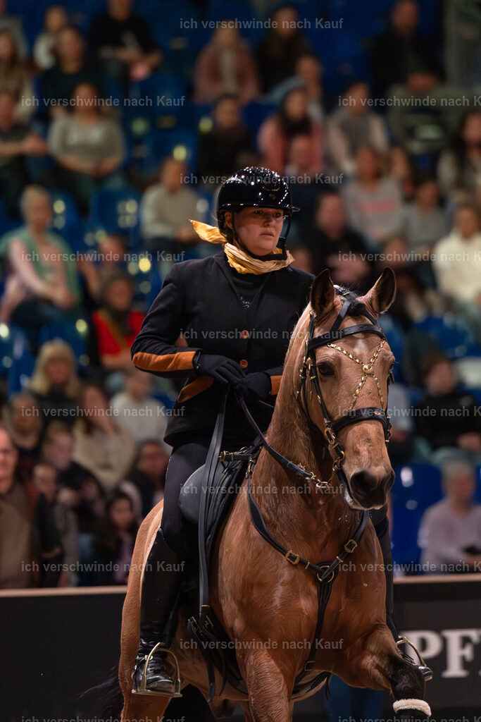 JoseraCup-205 | working equitationturnier fotograf videograf stoibphotography marixx film working equitation deutschland reitsport turnierfotografie eventfotografie equestrian events